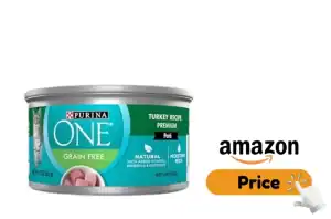 Purina ONE Cat Food