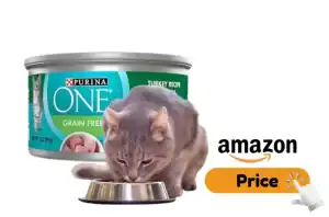 Purina ONE Cat Food Review