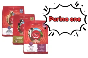 Is Purina One a Good Dog Food