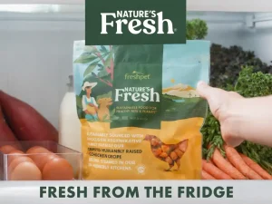 How does Freshpet rank