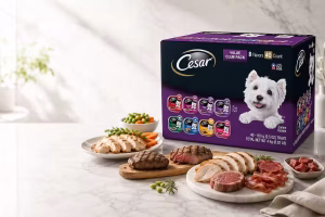 Is CESAR dog food good or bad for dogs