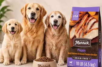 Is Merrick Dog Food Good