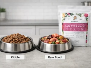 Kibble versus raw food comparison