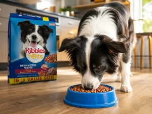 Are kibbles and bits ok for your dog