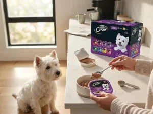 Is Cesar Food Good for Dogs
