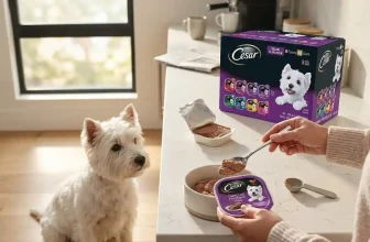 Is Cesar Food Good for Dogs