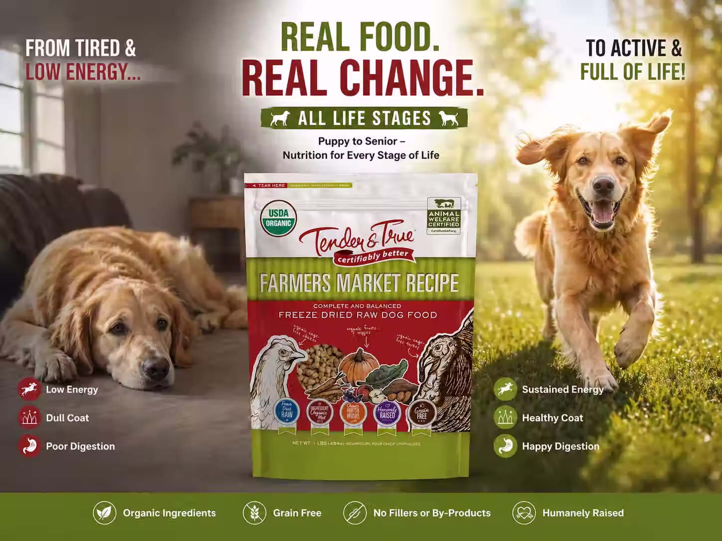Is Farmer’s Dog Food Good