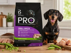 Is Pure Balance a good brand dog food