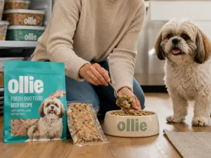 Serving ollie’s fresh dog food
