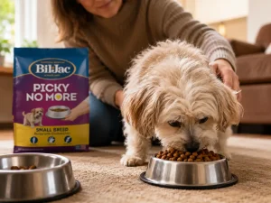 What is the number one healthiest dog food brand