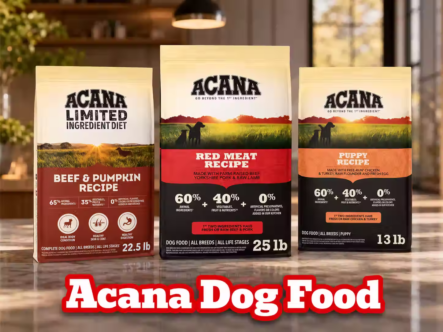 Acana Dog Food Review