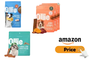 Best Ollie Dog Food