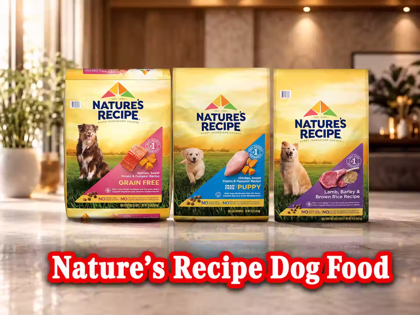 Is Nature's Recipe a Good Dog Food