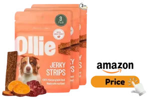 Is Ollie Dog Food Good