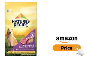 Nature's Recipe Senior Dog Food Review