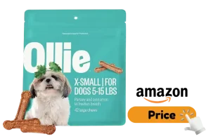 Ollie Puppy Dog Food