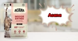 Is Acana Cat Food Good: My Trusted & Honest Review