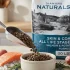 Best Royal Canin vs Wellness: My Honest Expert Advice