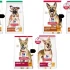 Is Nulo a Good Dog Food? My Honest Review and Experience