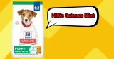 Top Ranked Puppy Food That Will Make You Smile