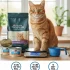 How Many Calories Does a Cat Need? My Expert Solution