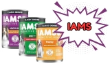 Is Iams a Good Dog Food? My Honest Real-World Review