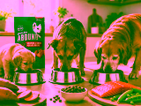 Is Abound a Good Dog Food? My Shocking Facts