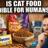 What to Feed a Cat with Sensitive Stomach? My Feeding Gide