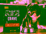 Is Crave a Good Dog Food: My Honest Take