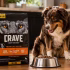 Is Ollie Dog Food Good? My Proven Honest Review