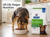 Is Hills A Good Dog Food? My Honest Review & Guide