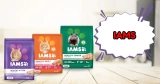 Is IAMS a Good Cat Food? My Honest Review