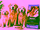 Is Merrick Dog Food Good? My Honest Review And Test