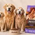 Is DR Marty’s Dog Food Good? A Real Pet Owner’s Review