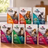 Is Science Diet a Good Dog Food? My First-Time Feeding Test