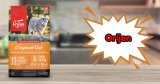 Is Orijen Cat Food Good? My Honest Experience