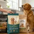 Is Instinct a Good Dog Food: My Honest Verdict