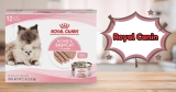 Is Royal Canin Cat Food Good: My Trusted Review