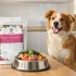Is Cesar Food Good for Dogs: My Honest Experience