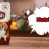 Hills Dog Food Review 2025: Stunning Secrets You Need