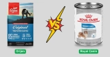 Orijen vs Royal Canin: Jaw-Dropping Nutrition Secrets