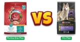 Purina One Plus vs Pro Plan Dog Food: My Honest Verdict