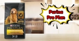 Purina Senior Dog Food Review: My Honest Experience