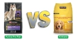 Purina Pro Plan vs Kirkland Dog Food: My Honest Experience