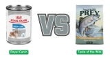 Royal Canin vs Taste of the Wild: My Honest Experience