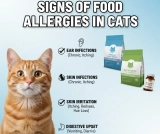 Signs of Food Allergies in Cats: My Unbelievable Experience