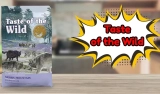 Is Lamb Dog Food Good For Dogs? My Honest Thoughts