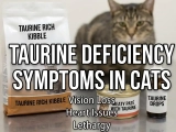 Taurine Deficiency Symptoms in Cats: See New Easy Scary