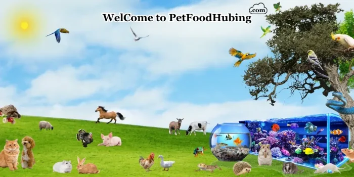 Well Come to PetFoodHubing