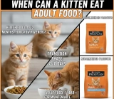 When Can a Kitten Eat Adult Food? Best Unique Advice